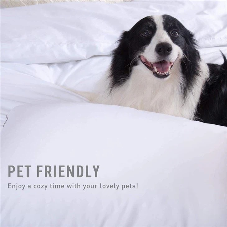 3 Piece Deep Pocket Fitted Sheets 3 Piece Deep Pocket Fitted Sheets