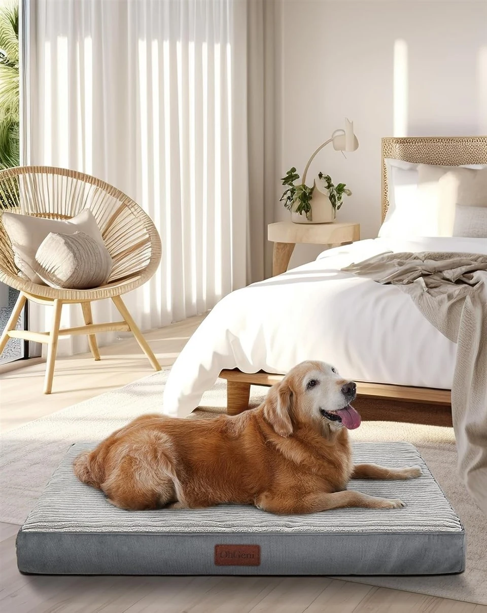Dog And Pet Bed Dog And Pet Bed